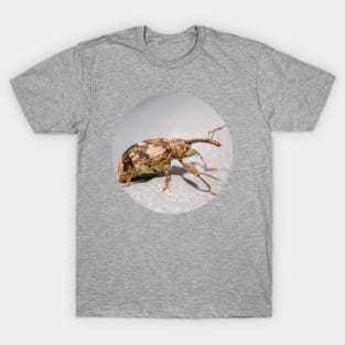 Springtime Weevil Macro Photograph T-Shirt